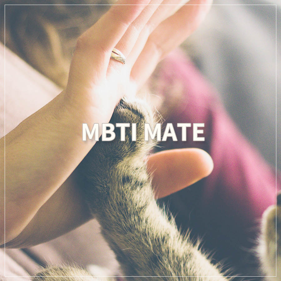 [개인] MBTI 메이트 (MM)